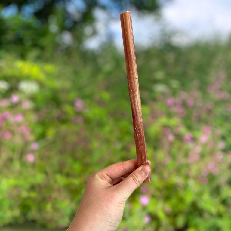 1 x LARGE Buffalo Pizzle 24cm