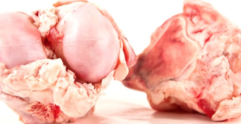 Knuckle Large Play Bone - Beef( Individual)