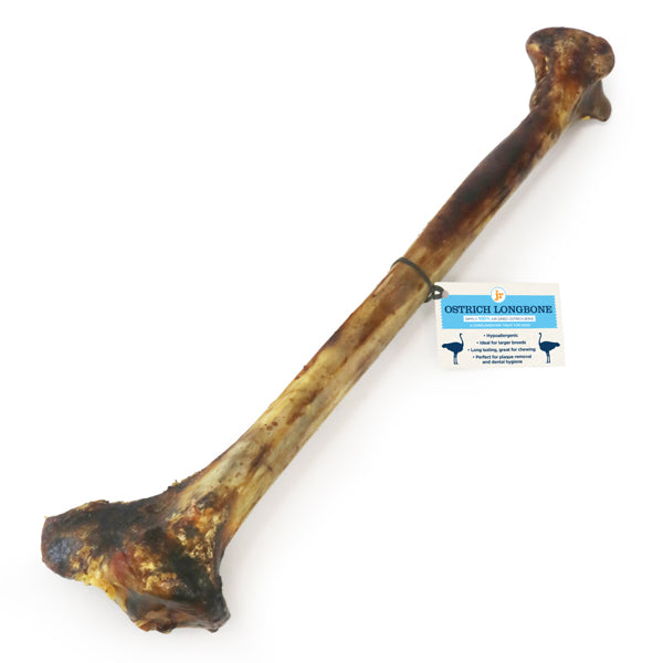 Ostrich Long Bone