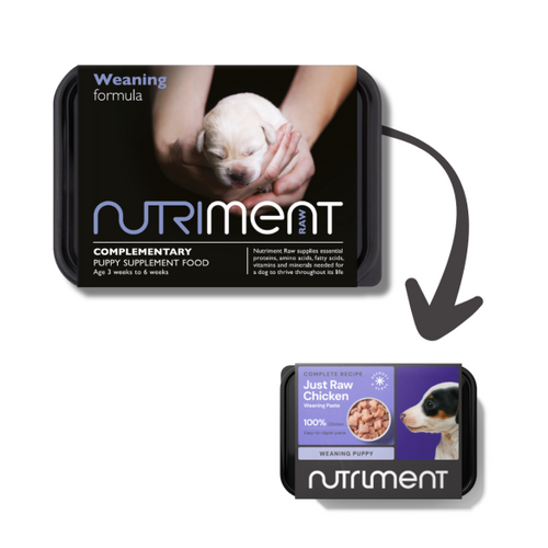 Nutriment Weaning Paste - 3 to 6 weeks, 500g