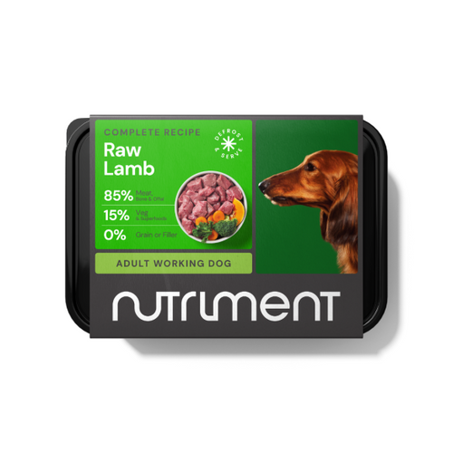 Nutriment Lamb Complete 500g