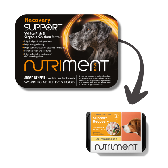 Nutriment Recovery Support 500g