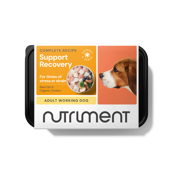 Nutriment Recovery Support 500g