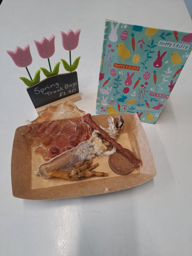 SPRING TREAT BAG