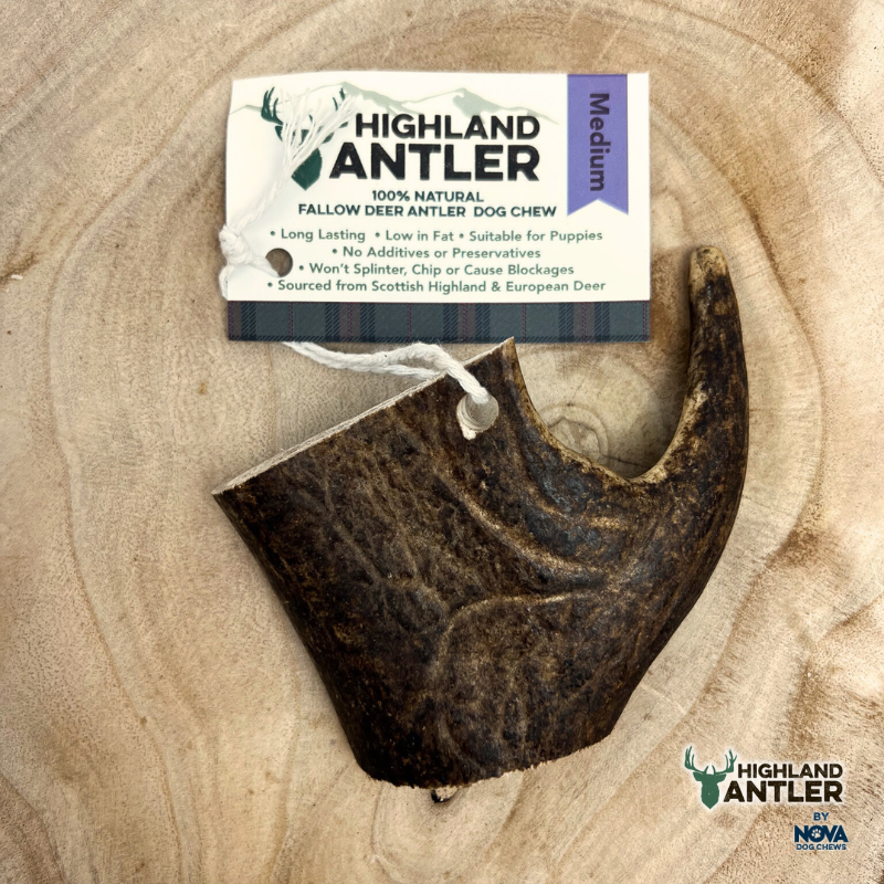 Antler FALLOW Medium (75g - 100g)