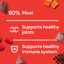 Freeze Dried RAW Treats - Beef 30g