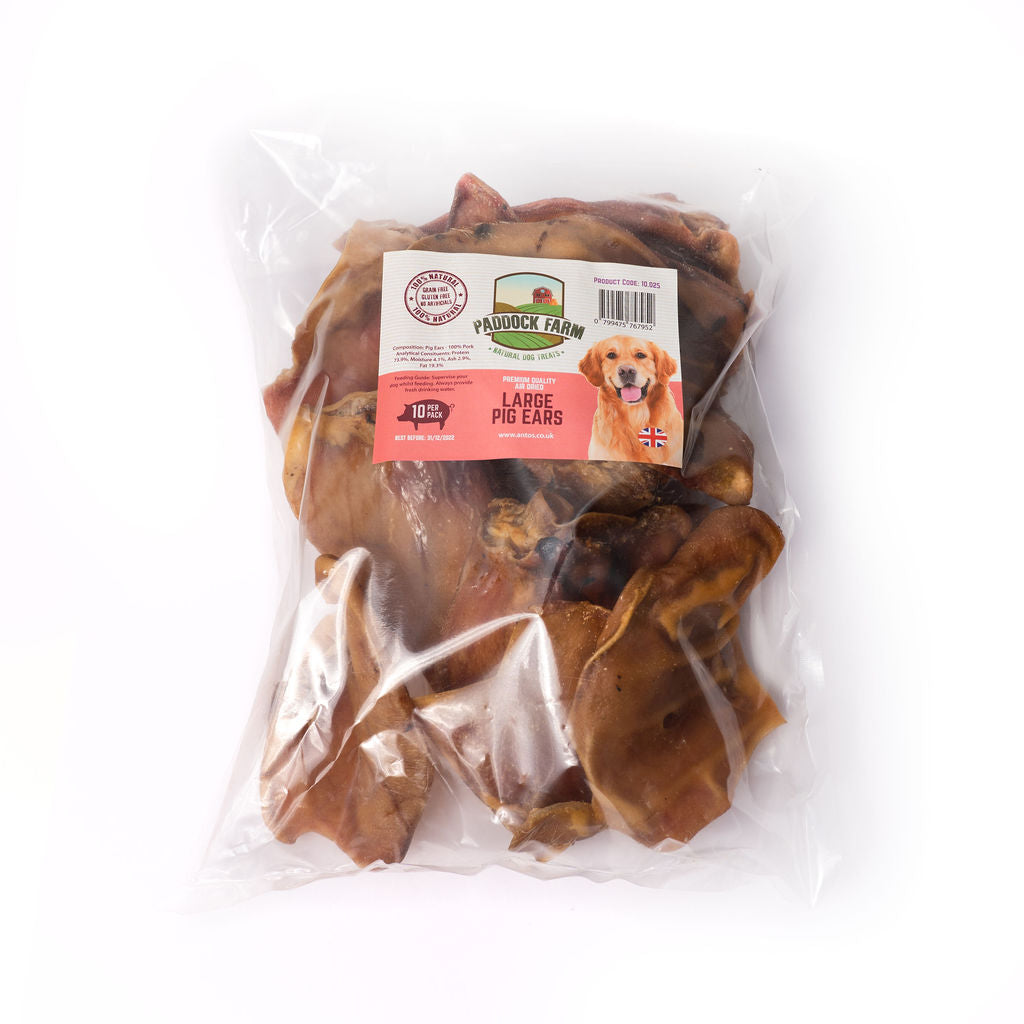 Pig Ears (10 Pack)