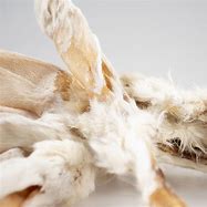 Rabbit Ear with Hair (individual)