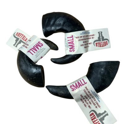 Buffalo Horn SMALL