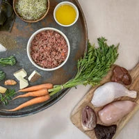 Benyfit Tender Chicken Complete 500g